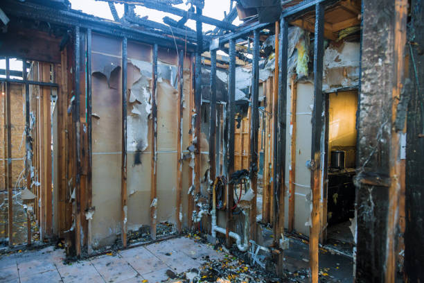 Professional Fire Damage Cleanup technician working in Fairfax, OH